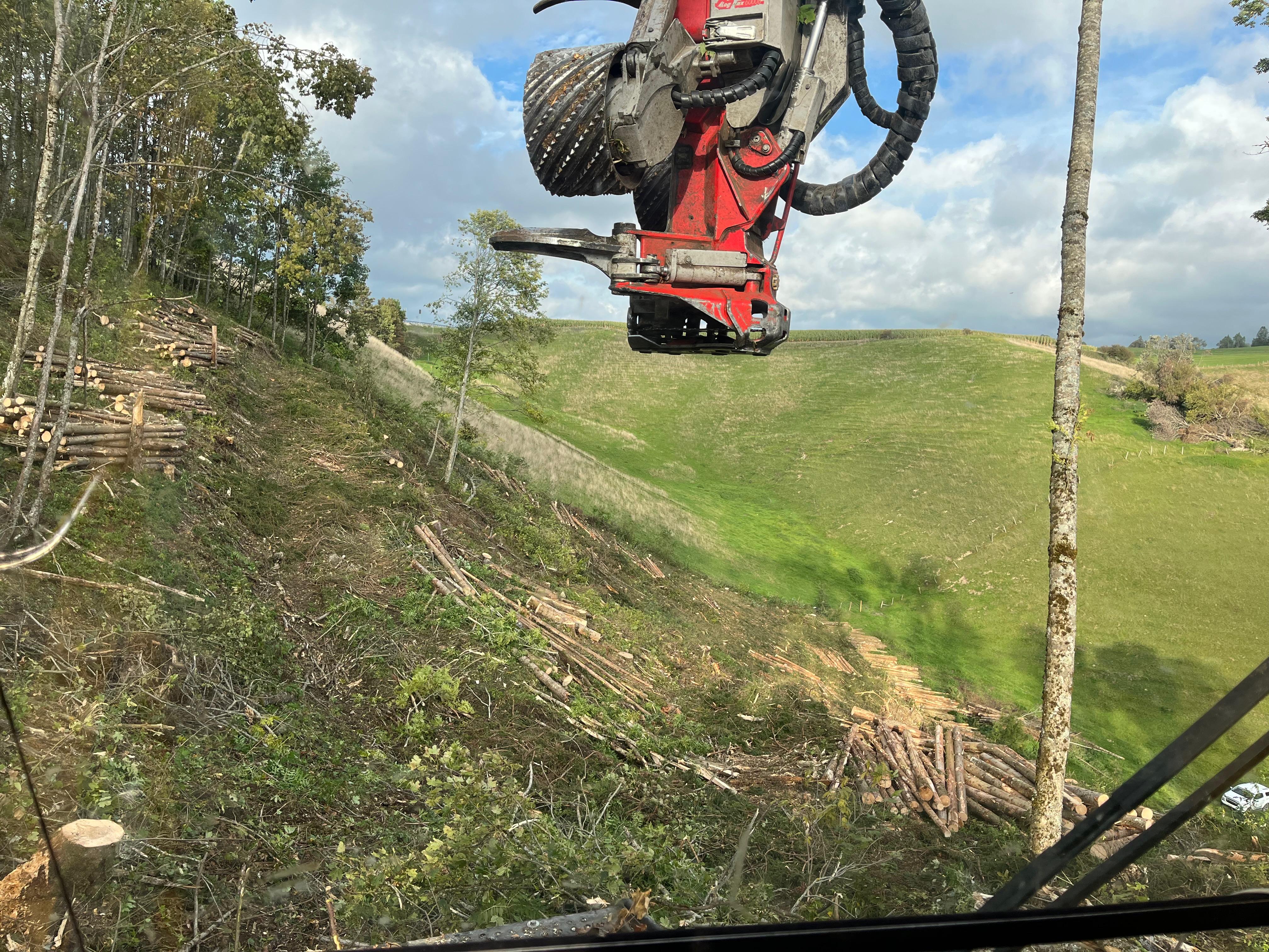 Défrichement et déboisement dans le Jura — SAS POLYVIER